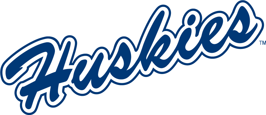 UConn Huskies 1981-2002 Wordmark Logo iron on transfers for clothing